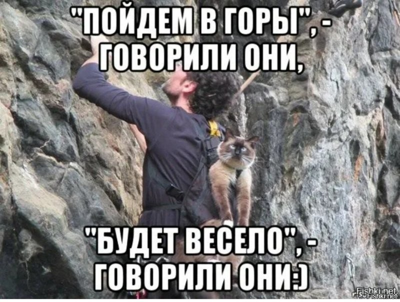 Кошка-экстремалка из Швейцарии