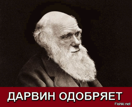 Фееричное окончание покатушек на мотоцикле