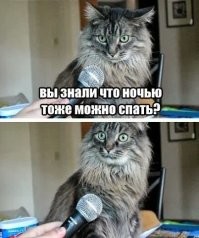 Скрины из соцсетей