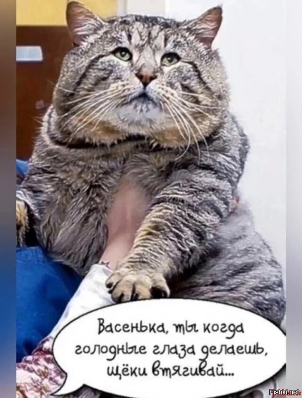 Голодные домашние демоны