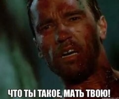 Смешные картинки