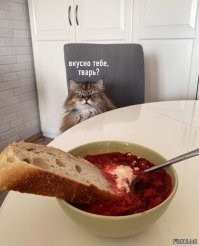 Голодные домашние демоны