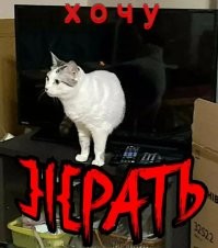 Намешалось