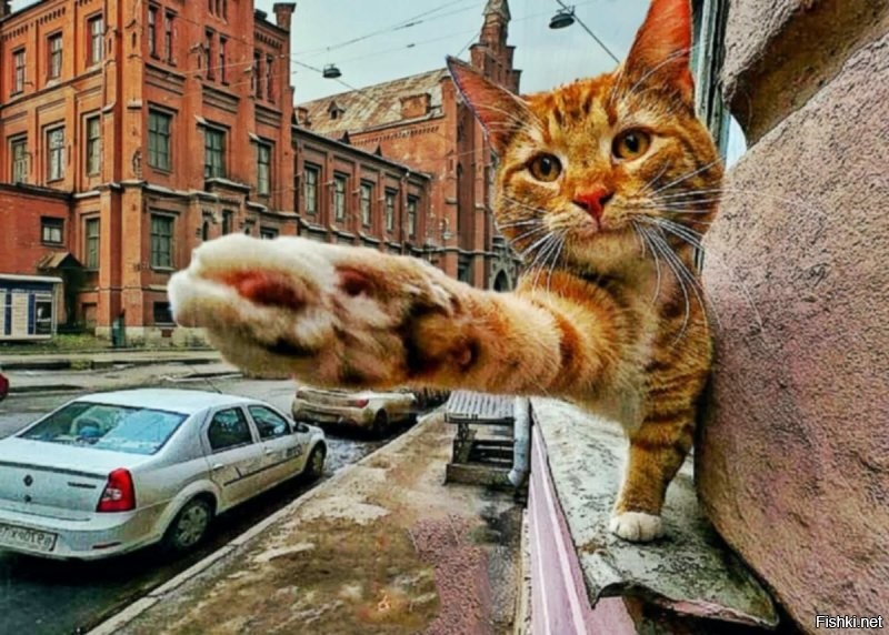 Держи пять!