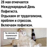 Сегодня отмечается Всемирный день выдры!⁠⁠