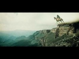 Скрины из соцсетей