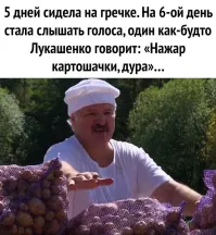 «Поможем братьям россиянам»: Лукашенко пообещал вырастить больше картофеля