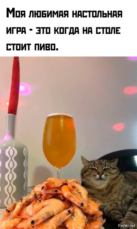 Не ищите здесь смысл. Здесь в основном маразм