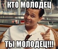 Целый год делал ремонт в квартире