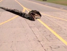 Люди провалились под землю в Удмуртии