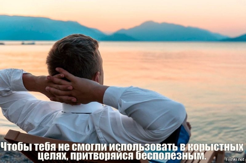 Скрины из соцсетей