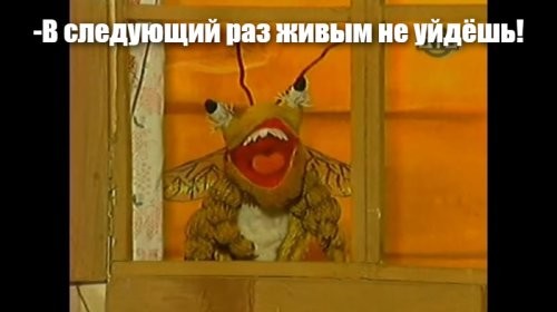 Солянка от 29.05.2025