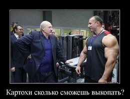«Поможем братьям россиянам»: Лукашенко пообещал вырастить больше картофеля