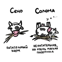А.фФтор , ты видать не спал ни на сене , ни на соломе.

...Сено мягче соломы, так как сено получают из скошенной и высушенной зелёной травы, а солома   из сухих стеблей зерновых или бобовых культур...