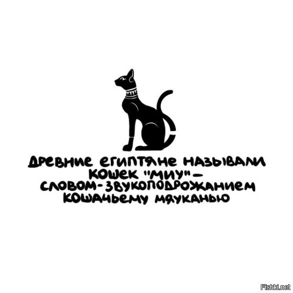 А вдруг ты не знал…