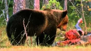 Жаль, что мамка не пришла