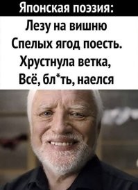 Эффектный полёт участника гонки за сыром