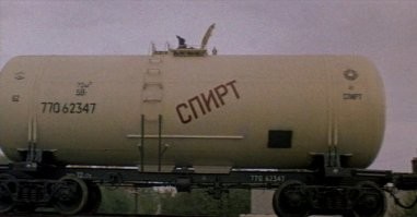 Японский фотограф поймал в кадр самое милое существо на планете