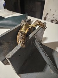 Прикольно. Сначала собираем черепах:
Потом привлекаем тостер:
На выходе хрустящие пирожки с мясом на вокзале