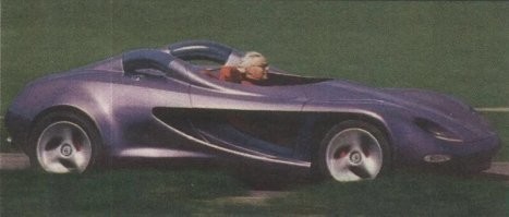 без лобового можно неплохо наесться насекомыми