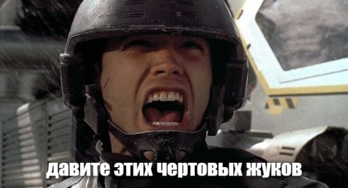 Нашествие жуков в российском регионе