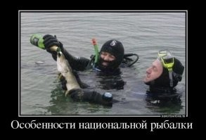 Большая тарелка улыбатора