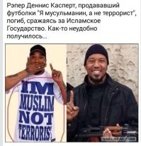 Радикальный ислам - это змея, которая прячется в траве. А умеренный ислам - трава, которая эту змею скрывает. 
Вуаще не удивился. В Коране написано, что надо воевать со всеми, пока они не примут ислам, брать их в плен, насиловать их женщий и облагать данью. Эта религия в принципе не может быть мирной.