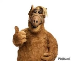 В Обнинске мамаша порвала чужому ребёнку губу за то, что дети во дворе случайно задели мячом её чадо