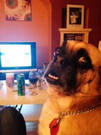 Блогер устроил блиц, спрашивая девушек, как называется их чат с подругами