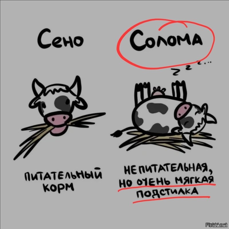 Я об этом .