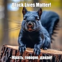 Ореховый мостик: как в США придумали способ спасения пушистых пешеходов