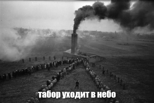 "Хочешь, выйдем на улицу, я тебе покажу": цыганка зашла в автобус как королева и показала всем кто там главный