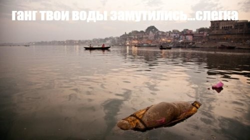 Для индкса покуй где срать, есть и купаться - все едино