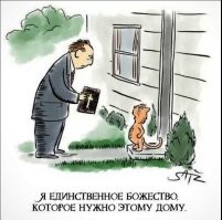 Кошки священные существа