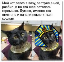 Кошки священные существа