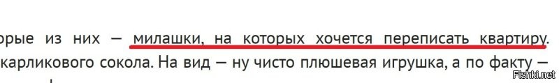 Познавательно, но убивает уровень мимишности!