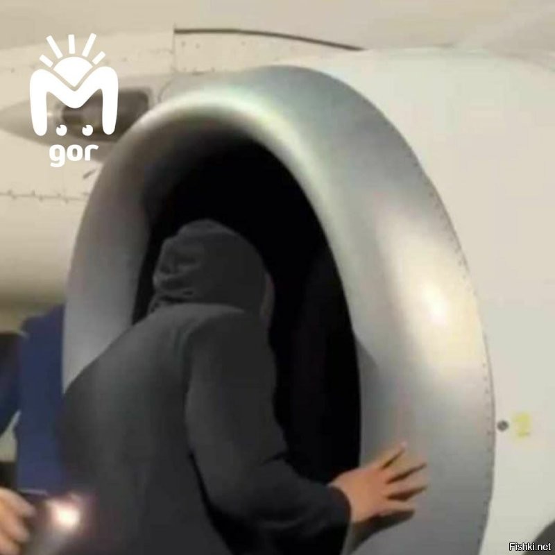 Мы просто не поняли, что они гоняли ифритов из железных птиц...
