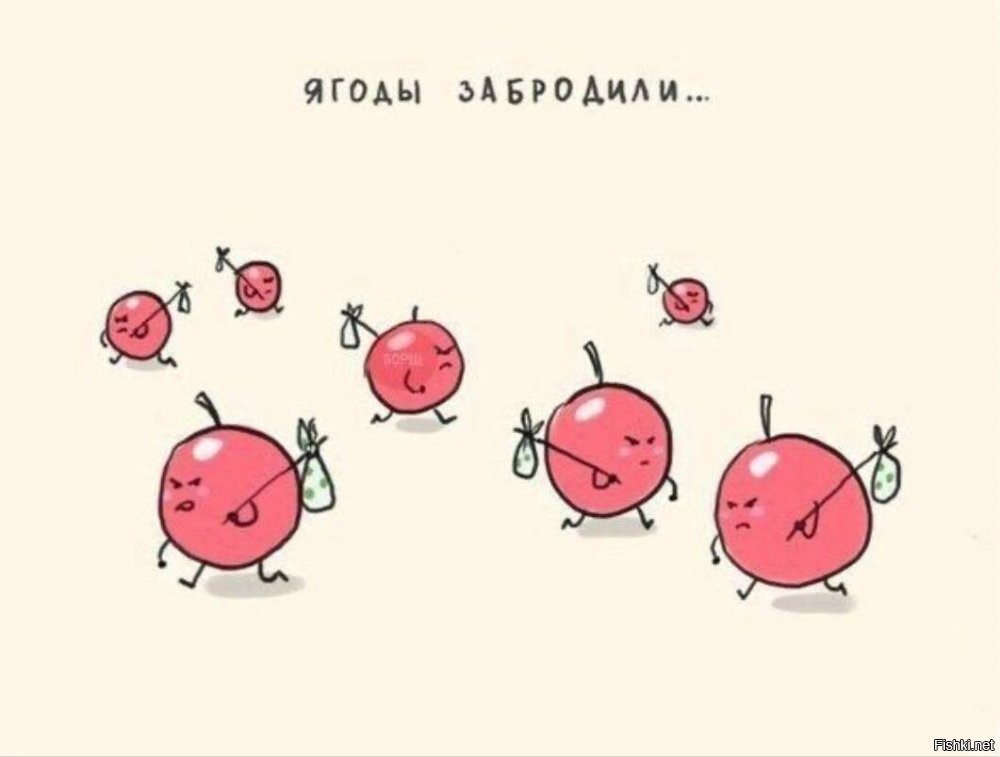 Солянка от 02.06.2025