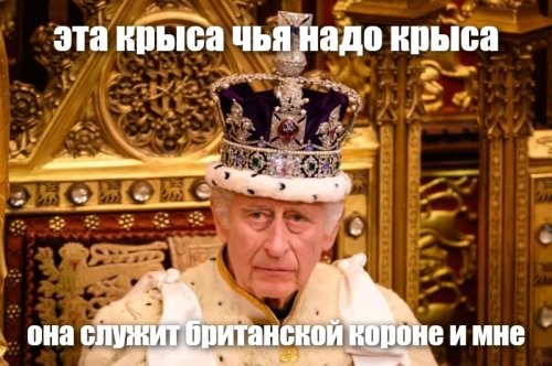 Крыса отгрызла палец прикованной к постели пенсионерки