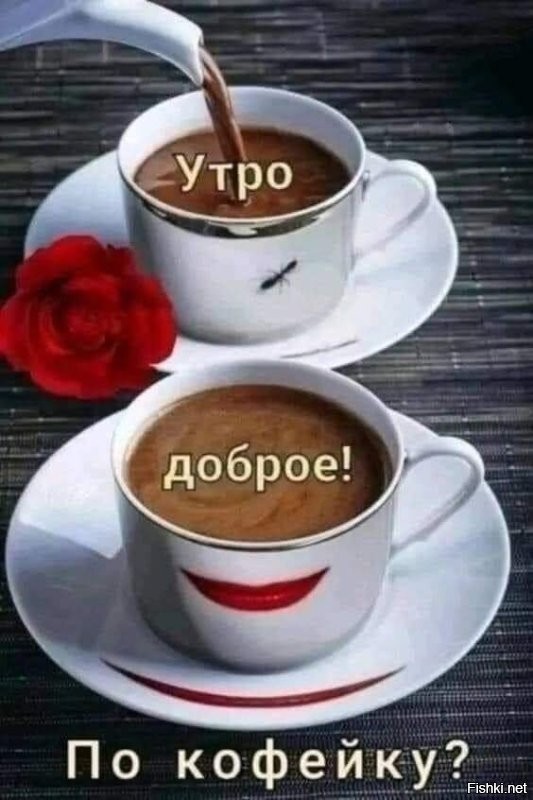 Доброе утро. Какие успехи на дачном фронте? Всё успела .