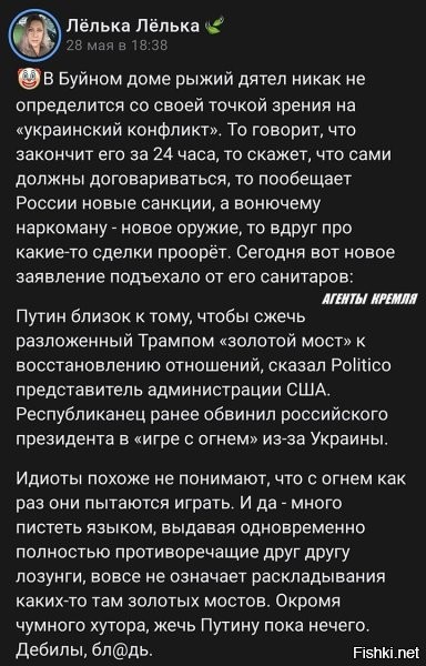 То у амеров "Золотой купол", теперь вот "Золотой мост" и всё это поливается Золотым дождём.