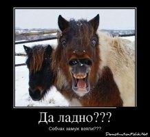 "Думают гормонами": Ксения Собчак предложила официально запретить жениться мужчинам до 30 лет