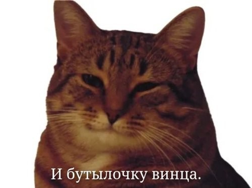 Продолжаем барражировать соцсети