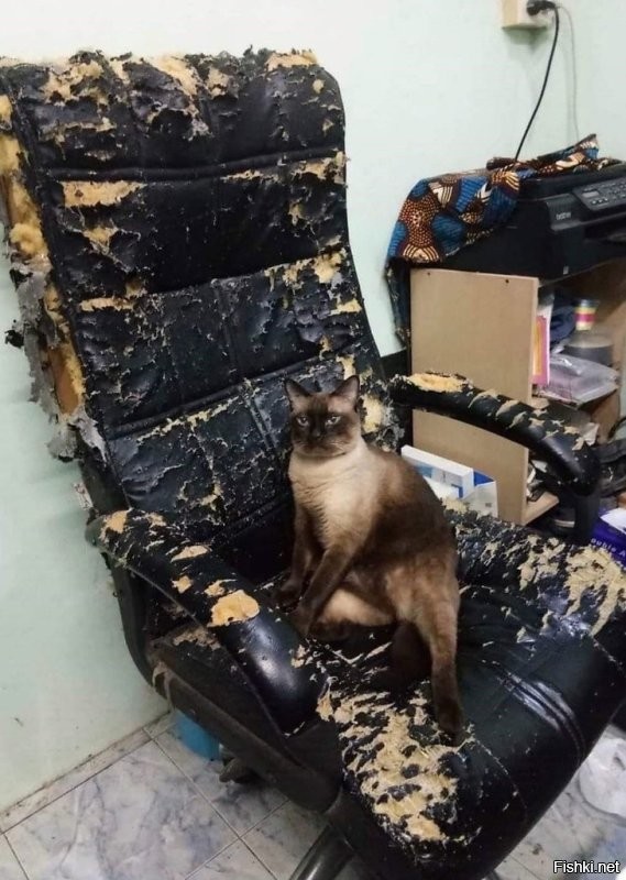 Доброе утро