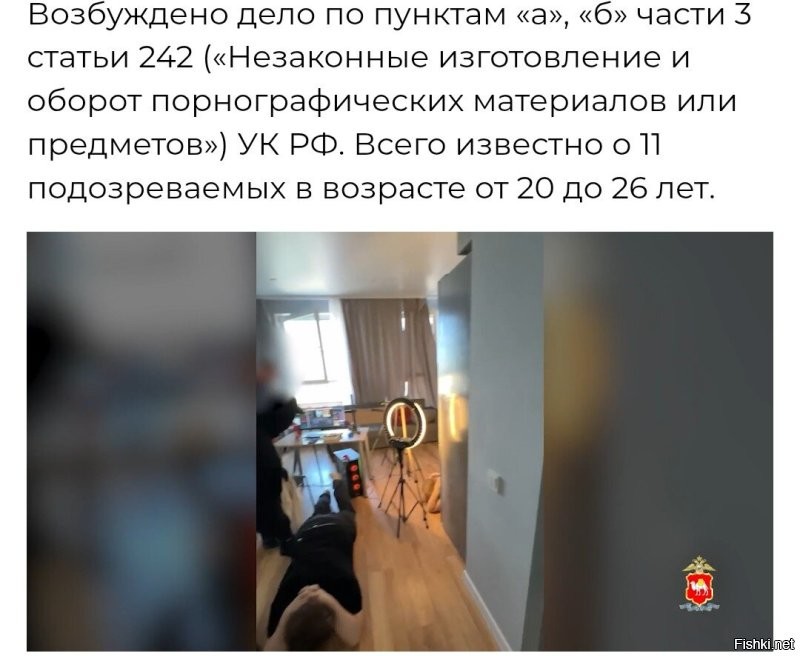 Интересно, а бывает «Законные изготовление и оборот порнографических материалов или предметов»?