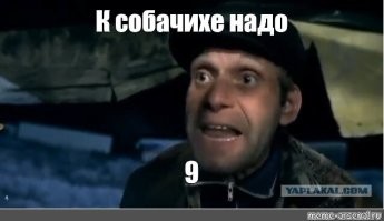 "Думают гормонами": Ксения Собчак предложила официально запретить жениться мужчинам до 30 лет