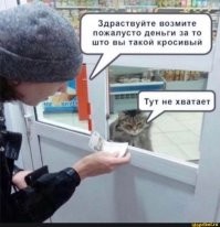 Не ищите здесь смысл. Здесь в основном маразм