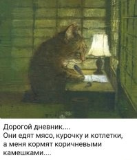 Кот ест бекон со слезами на глазах