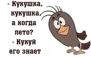 Скрины из соцсетей