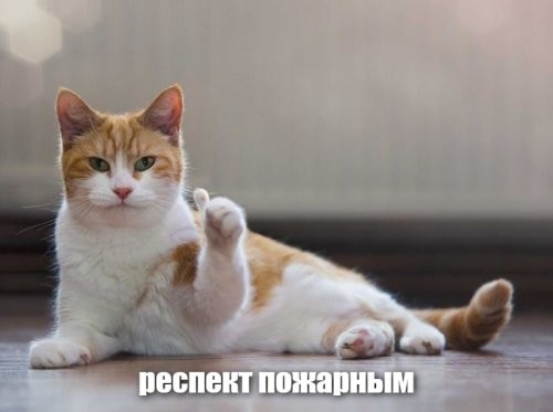 Пожарный спас кота